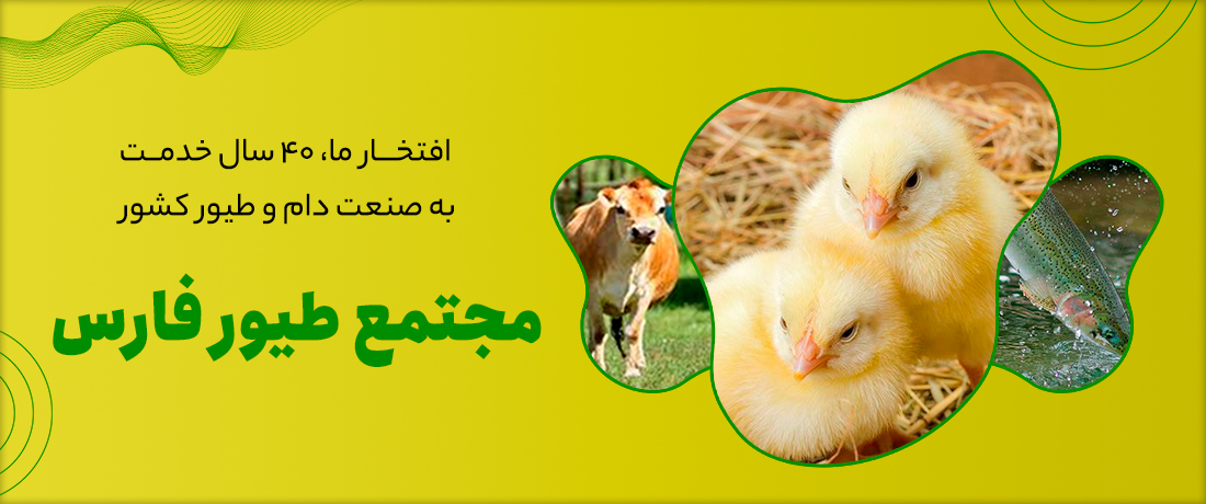 بنر اصلی سایت طیور(رنگ زرد)